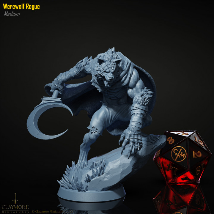 Werewolf Rogue image