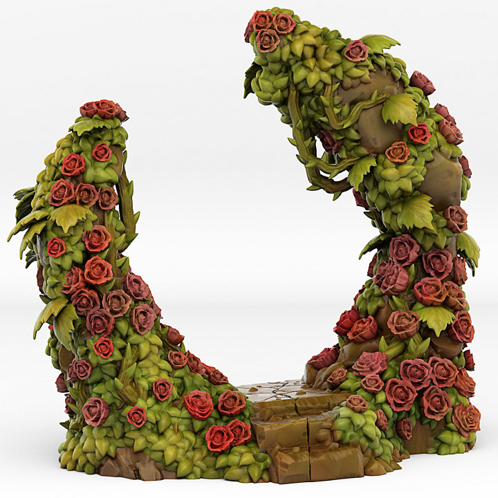 ROSES PORTAL WITH ITS BRAMBLES EFFECT image