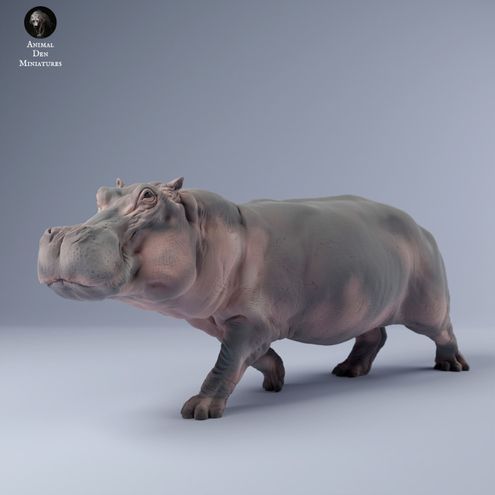 Hippo Run