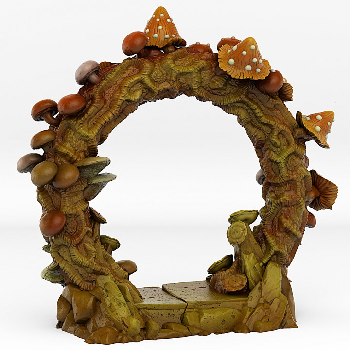 FOREST MUSHROOMS PORTAL WITH ITS MUSHROOMS SLIME EFFECT image