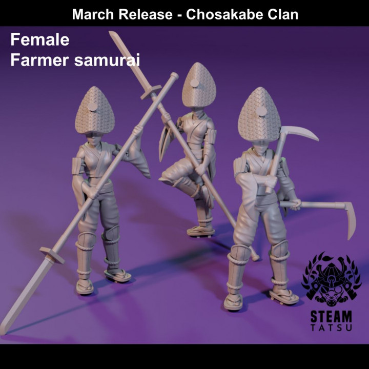 Female Farmer Samurai