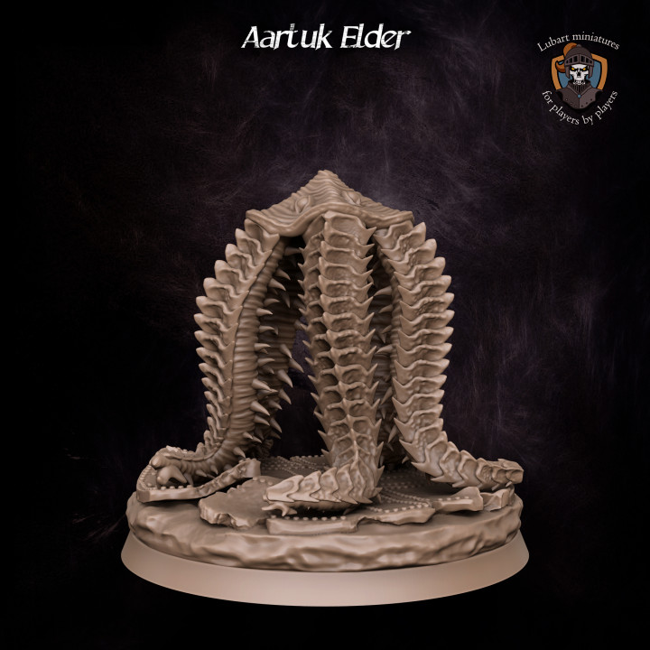 Aartuk Elder