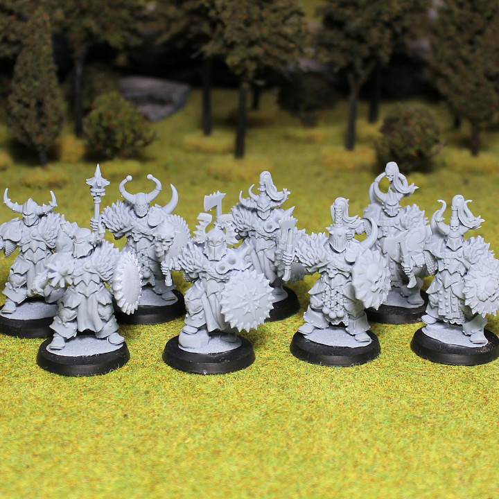 Northern warriors