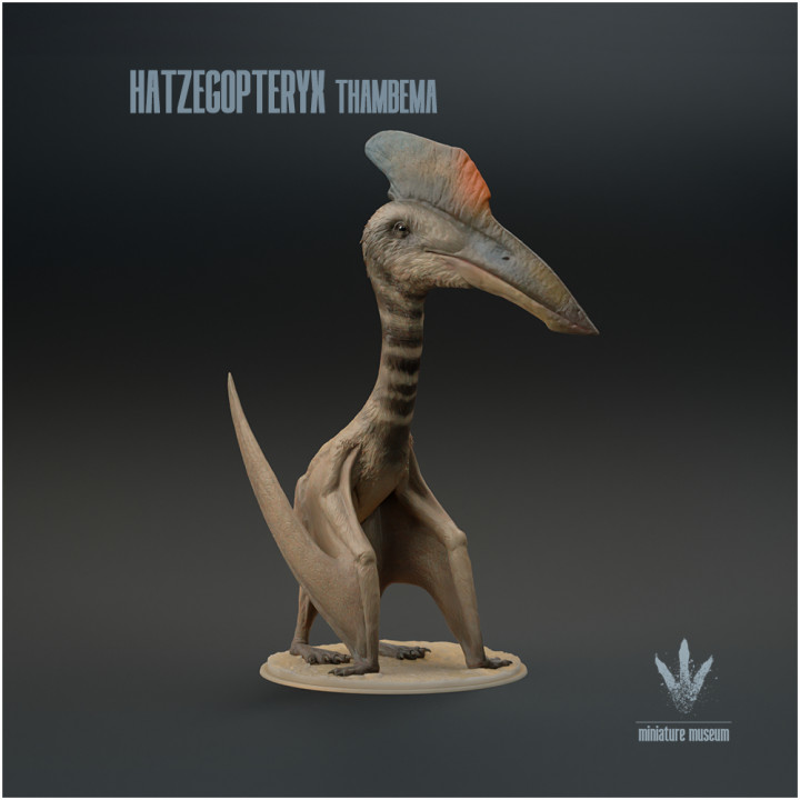 Hatzegopteryx thambema : The Hațeg Basin Wing image
