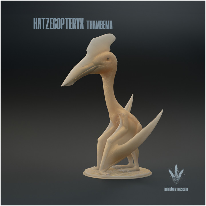 Hatzegopteryx thambema : The Hațeg Basin Wing image