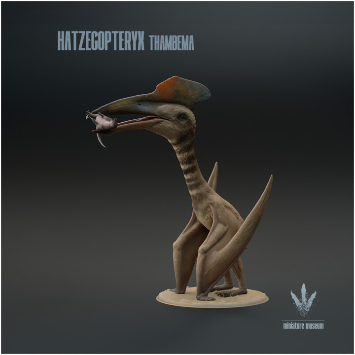 Hatzegopteryx thambema : Feeding on Zalmoxes image