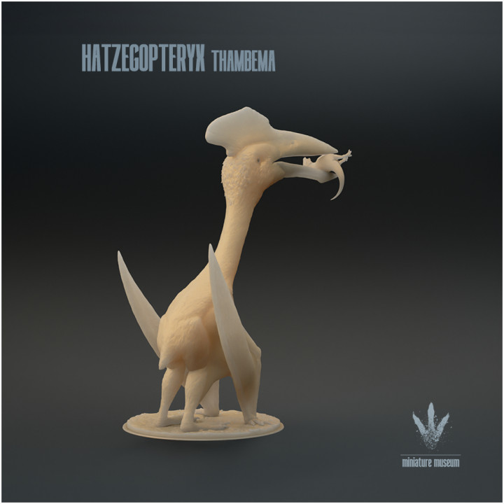 Hatzegopteryx thambema : Feeding on Zalmoxes image