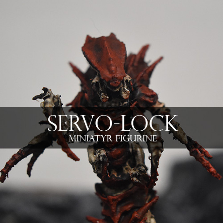 Servo-Lock image
