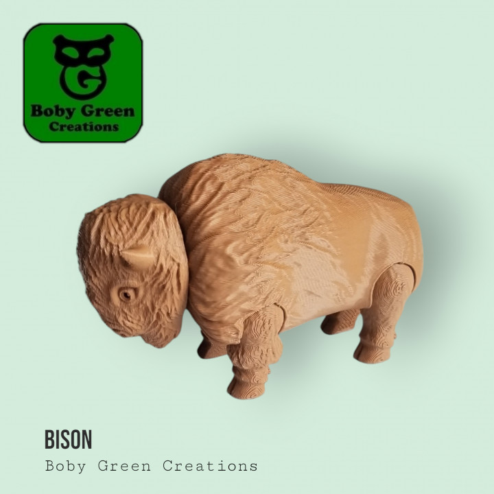 Bison Flexi image