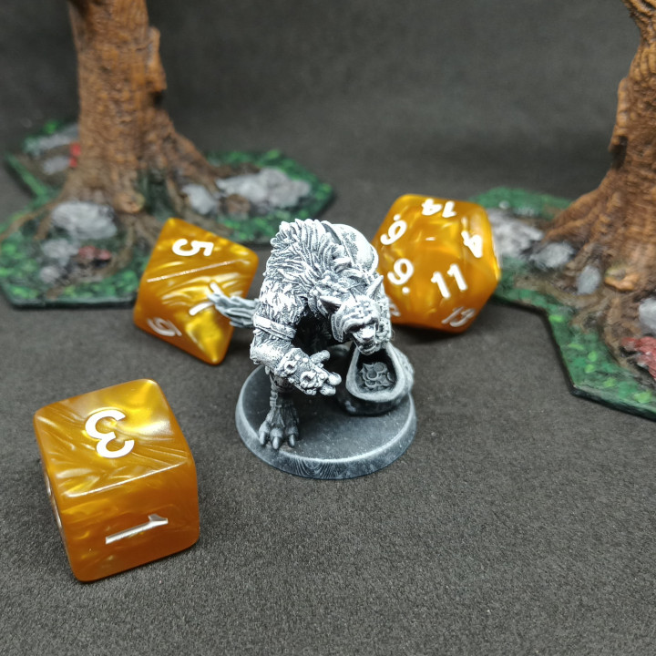 3D Printable Loyalty Reward 06 Months - Gnoll Warband by Imagine Minis