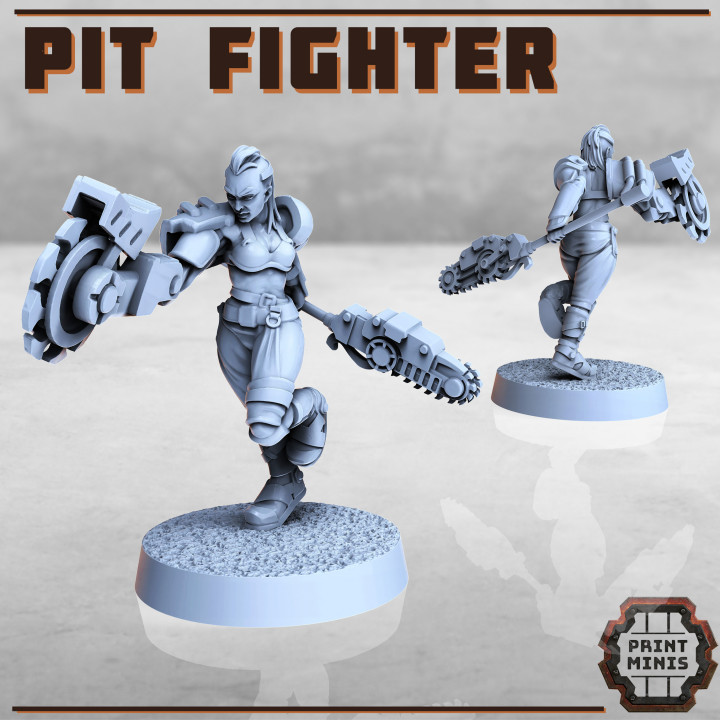 Female Pit Fighter image