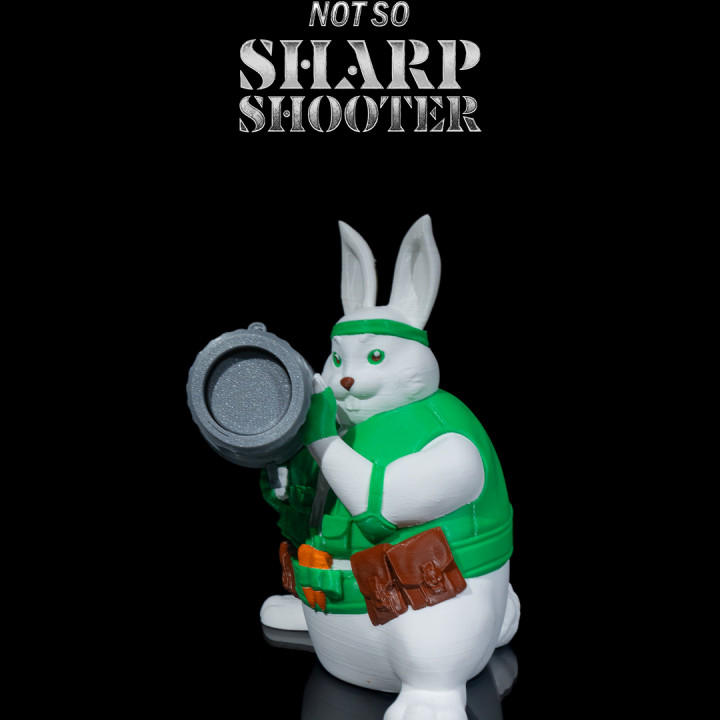 Not So Sharpshooter