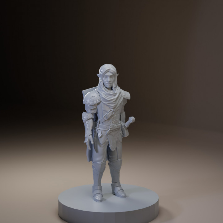 Alistar - Half elf Eldritch knight - Pose 1