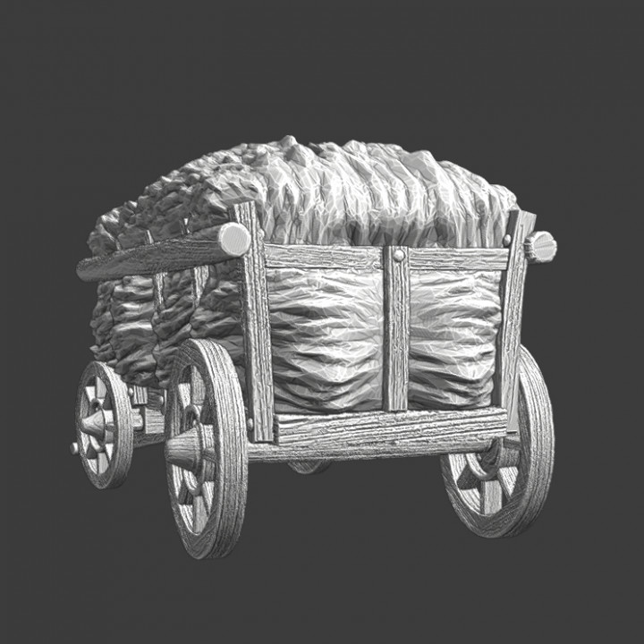 Medieval Supply Wagon - Hay for the horses image