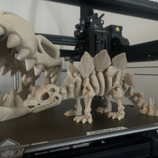 Picture of print of Flexi Factory Skeleton Stegosaurus