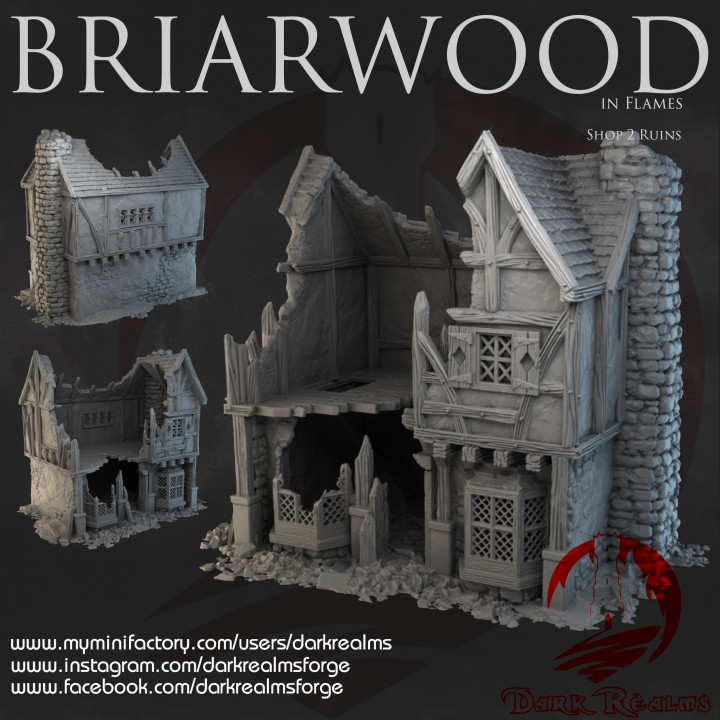 Dark Realms - Briarwood - Shop 2 Ruins image