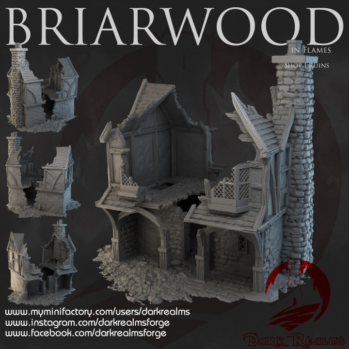 Dark Realms - Briarwood - Shop 1 Ruins image