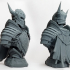 Dead Knight Bust print image