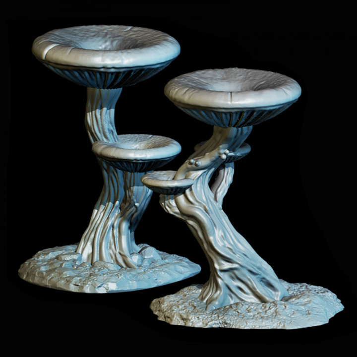 Giant Ethereal Mushrooms (2) image