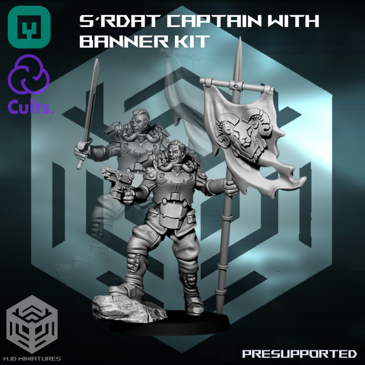 s'rdat Captain with banner - Space guard - presupported kit - scifi infantry image