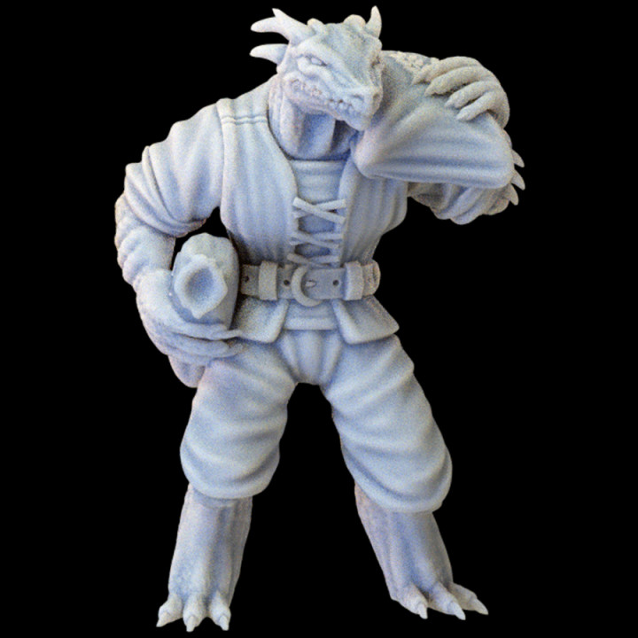 Lizardfolk Groom - Not Your Average Trading District Vol. II Kickstarter