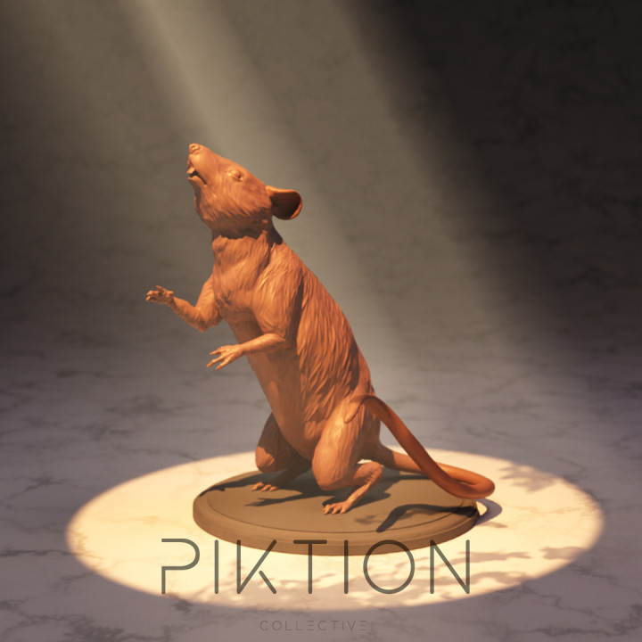 Rat - Fixed image