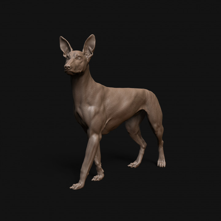 3D Printable Pharaoh Hound dog - pre supported by Dino and Dog