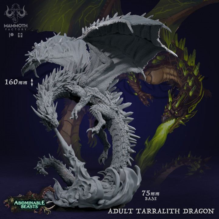 Adult Tarralith Dragon image