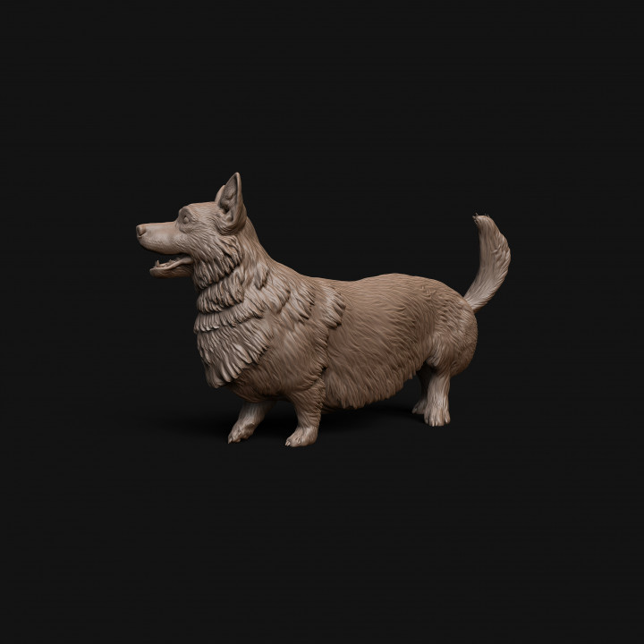 Corgi dog - pre supported image
