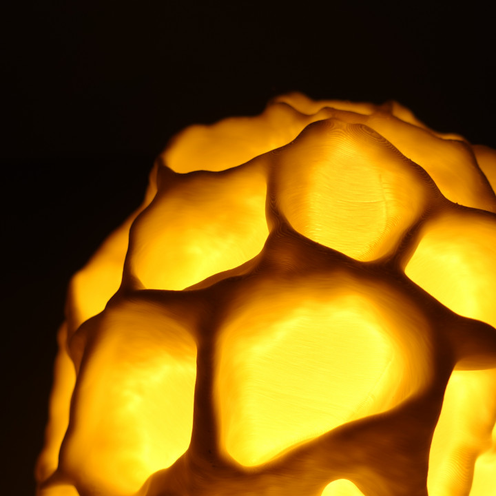 Table lamp “Esculenta Fungus” image