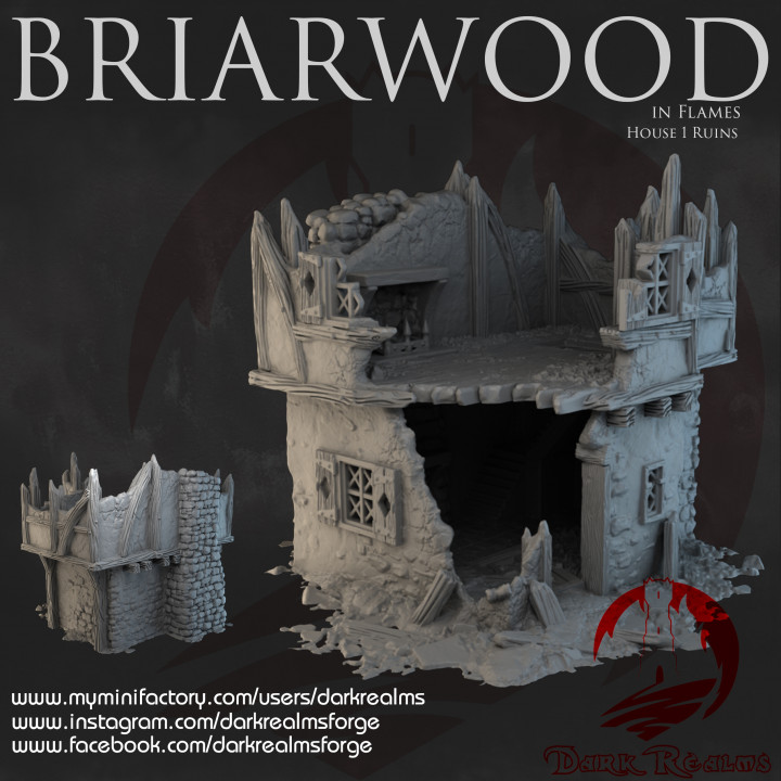 Dark Realms - Briarwood - House 1 Ruins image