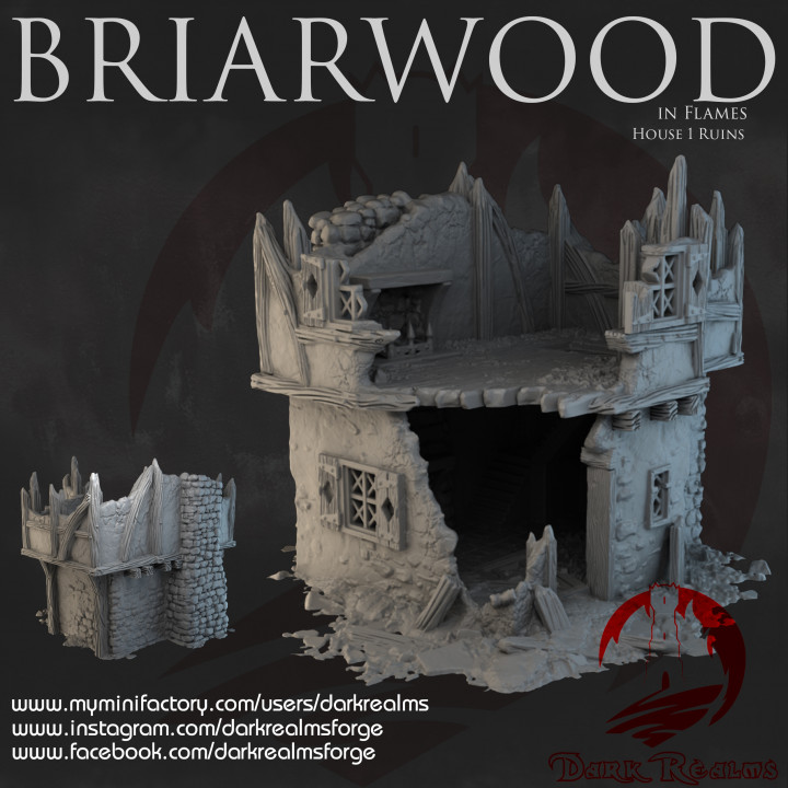 Dark Realms - Briarwood - House 1 Ruins