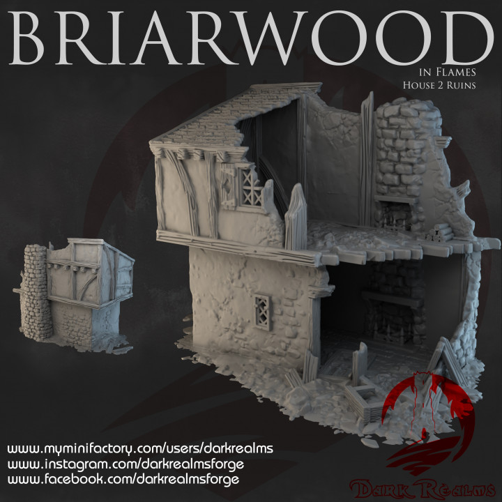 Dark Realms - Briarwood - House 2 Ruins