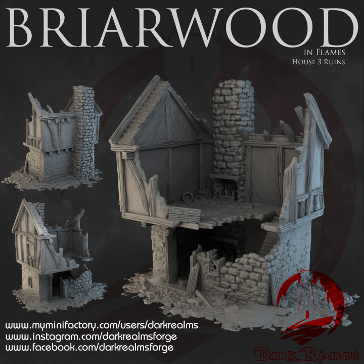 Dark Realms - Briarwood - House 3 Ruins image