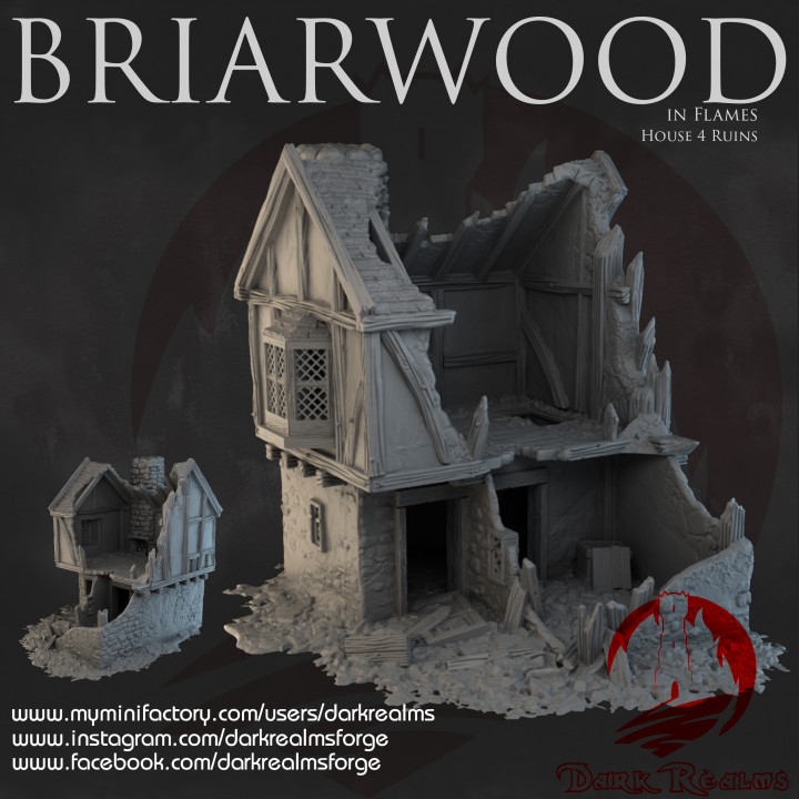 Dark Realms - Briarwood - House 4 Ruins image