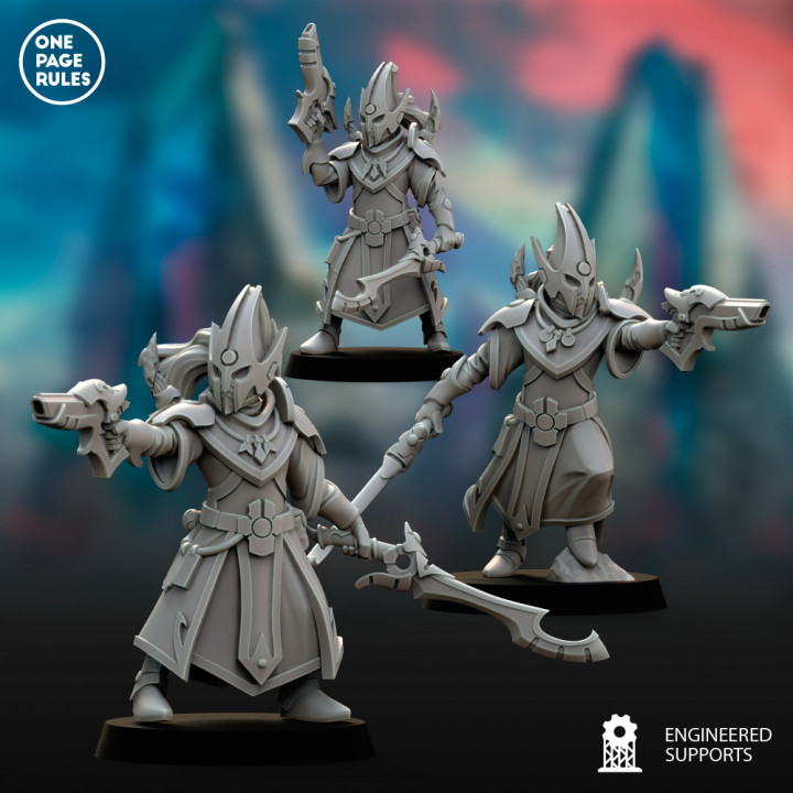Elf Fleets Acolytes