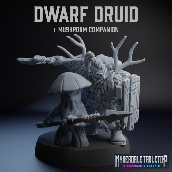 Dwarf Druid with Mushroom companion image