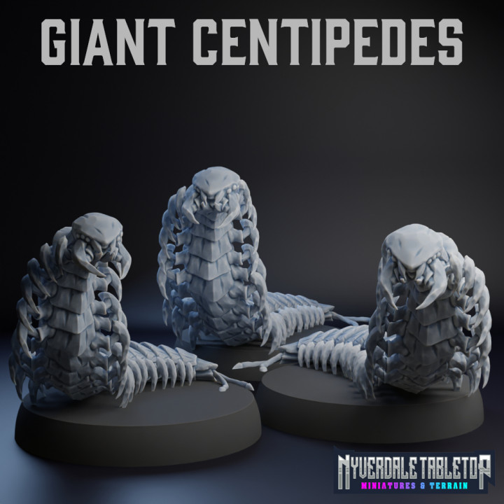 Giant Centipedes