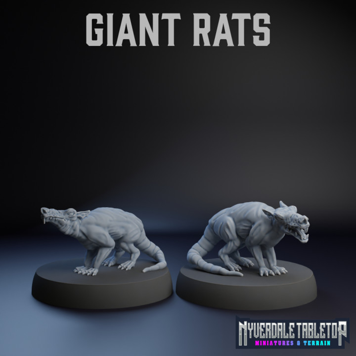 Giant Rats