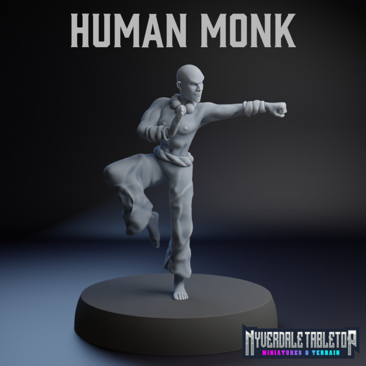 Human Monk image