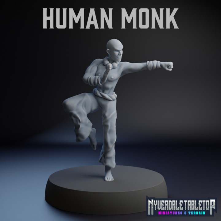 Human Monk