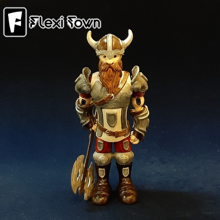 Flexi Print-in-Place Viking image