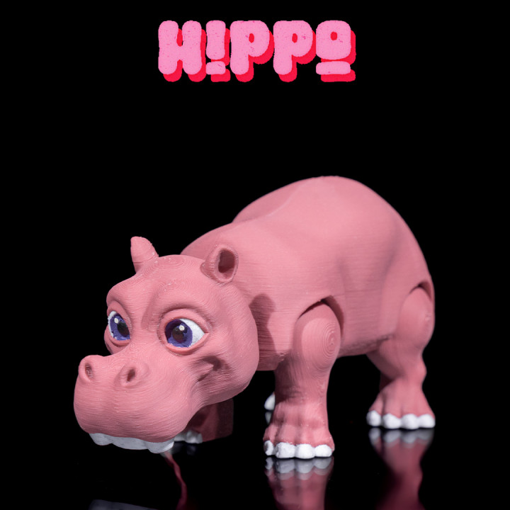 Hippo