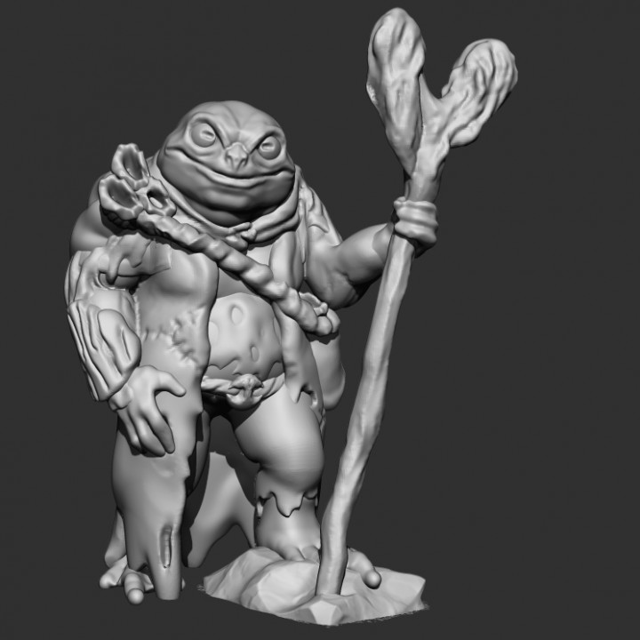 Toad Swamp Druid / 32mm / DnD