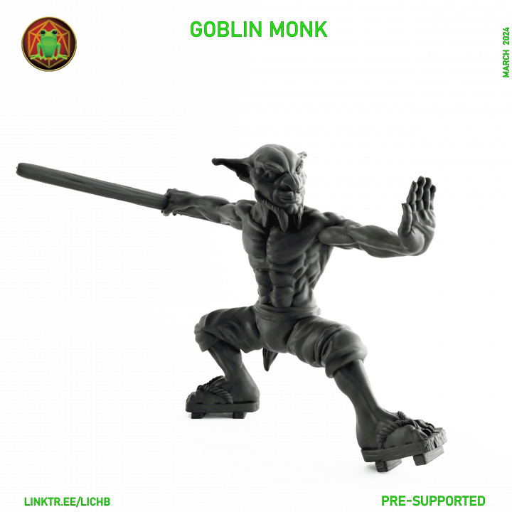 Goblin Monk