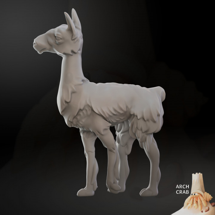 Llama