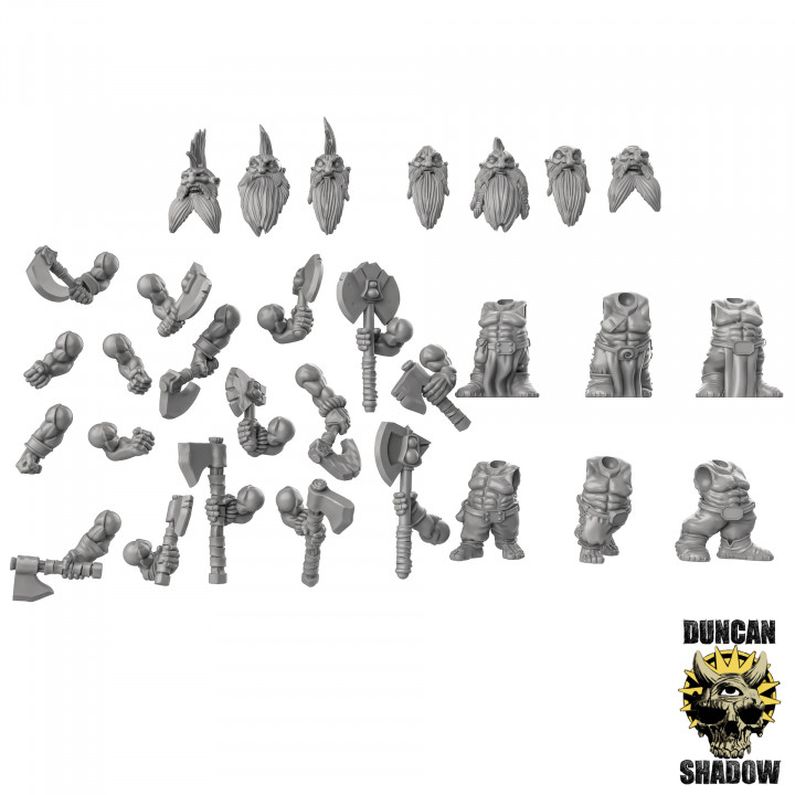 Dwarf Slayers Multipart Kit (Pre Supported) (M) image