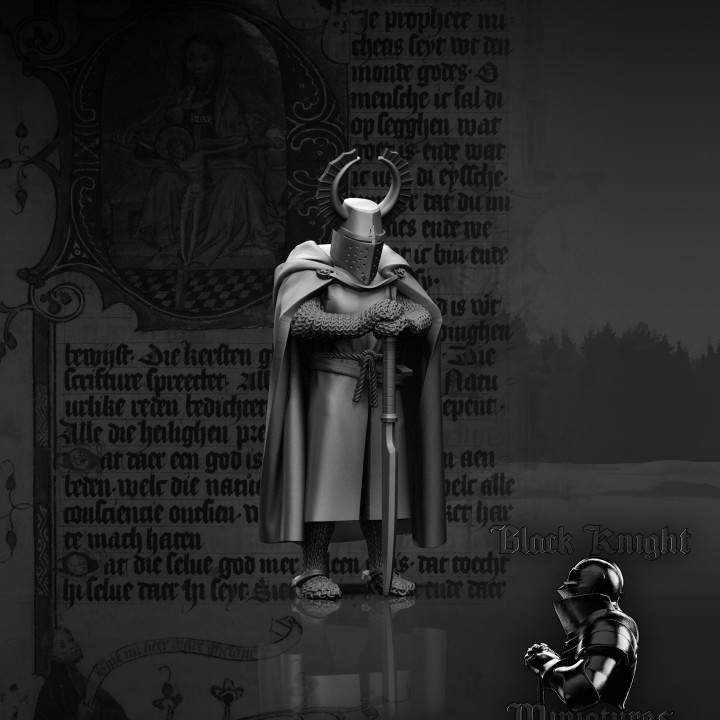 13th century - Teutonic Commander on Foot (Komtur) image
