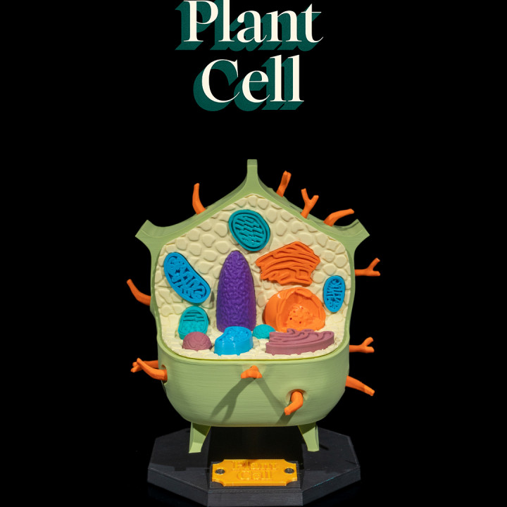 Plant Cell image