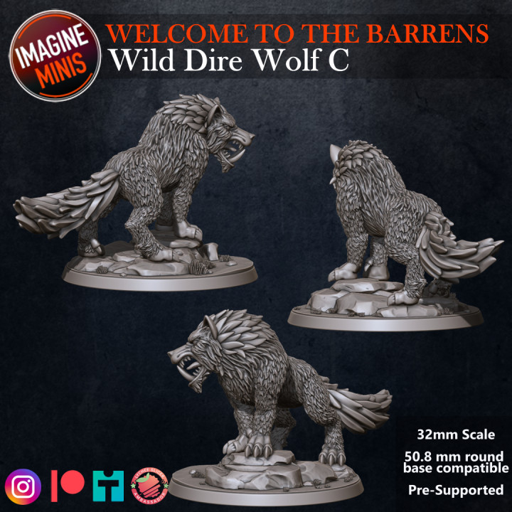 Welcome to the Barrens - DireWolf Pack image